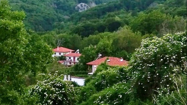 Στην Ομοσπονδία Ευρωπαϊκών Πάρκων δάσος στο Κιλκίς